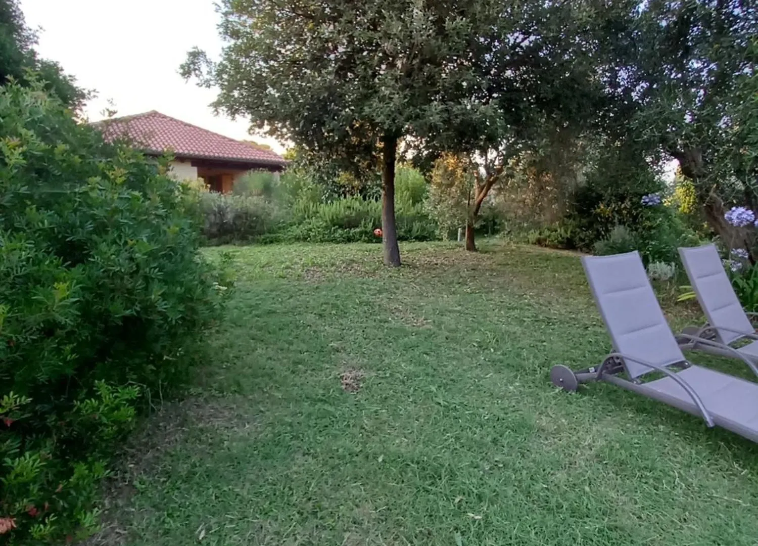 Agriturismo Poderino Cinigiano Alloggio per agriturismo