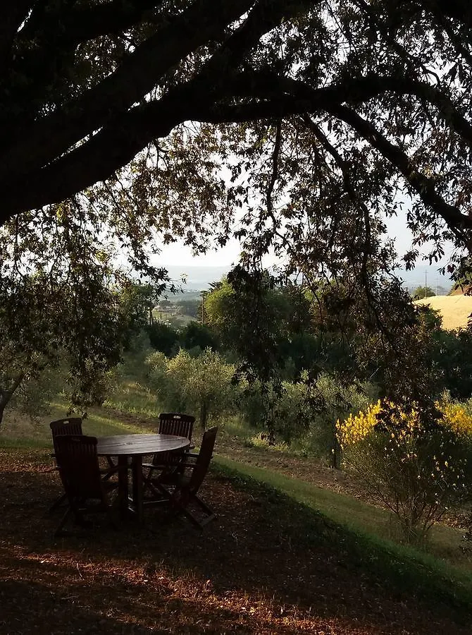 Alloggio per agriturismo Agriturismo Poderino Cinigiano
