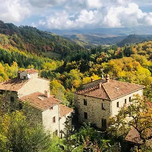 Casa di campagna Bio Il Vigno, Caprese Michelangelo